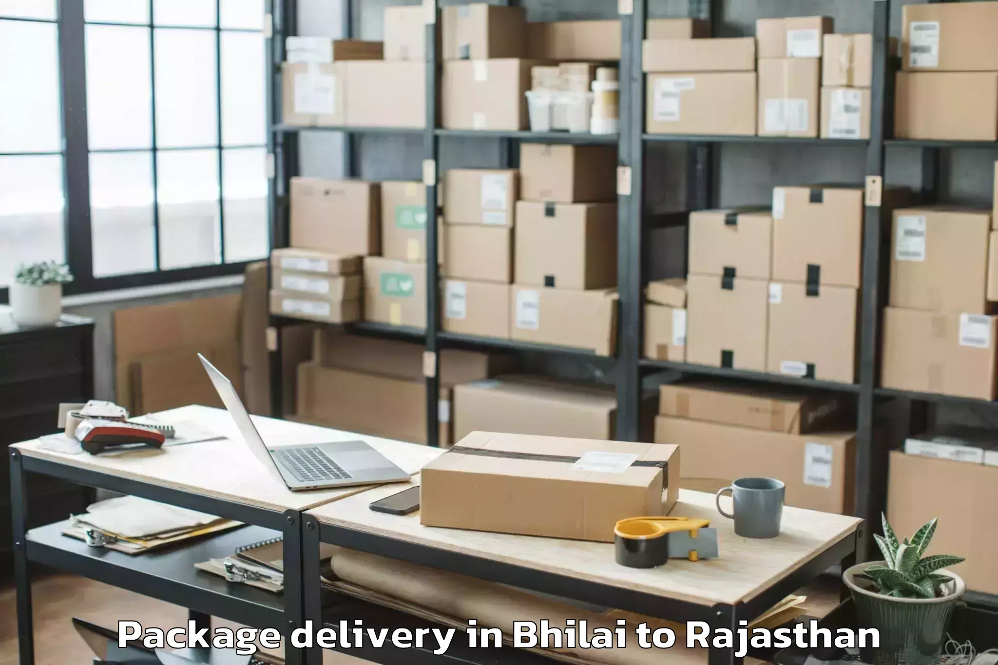 Leading Bhilai to Tonk Package Delivery Provider